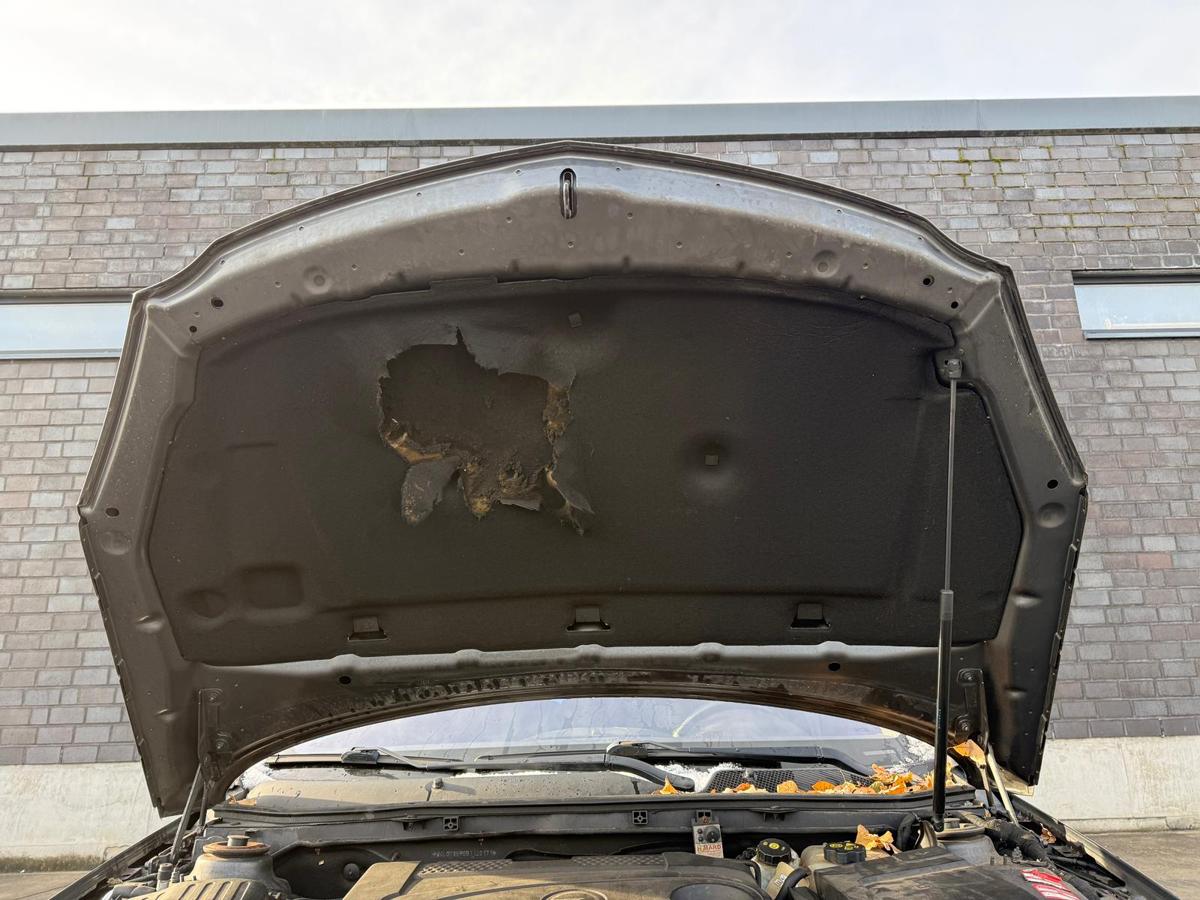 Opel Insignia A original Motorhaube Z177 Karbongrau Metallic BJ11